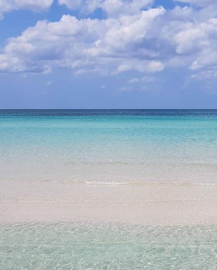 Manidibianco Apulian Relaxing Stay Тури Экстерьер фото